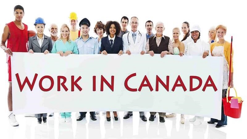 مشاغل مورد تائید کانادا ویزای کاری کانادا
